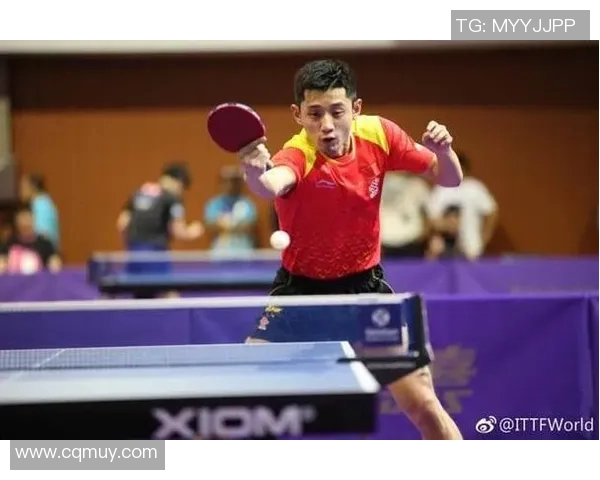 张继科与金炳贤巅峰对决乒乓球赛场上的荣耀与激情较量