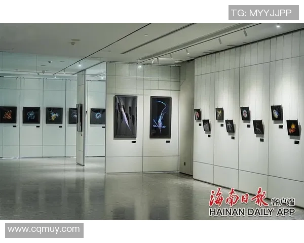 张帆:探索科技与人文交融的未来之路与创新思维的碰撞 张帆:探索科技与人文交融的未来之路与创新思维的碰撞