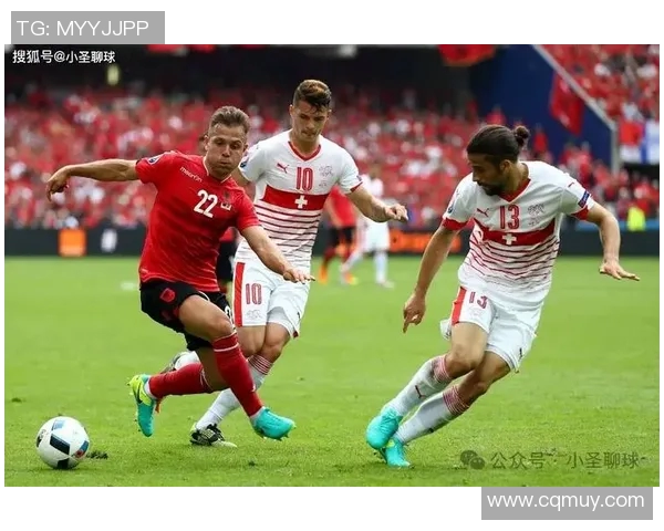 丹麦与波兰对决谁将赢得胜利分析与预测