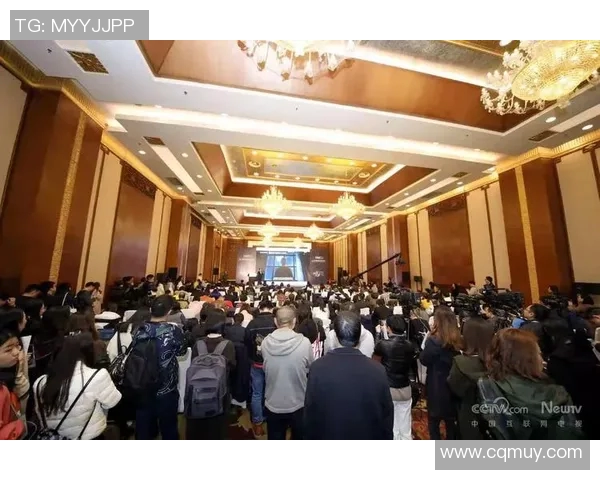 新彤盛：引领未来科技潮流的创新企业典范与发展之路探讨